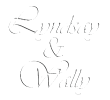 Lyndsay & Wally's Wedding by 45productions.ca